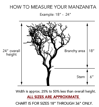 Manzanita size chart