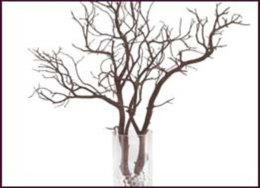 Wholesale Decorative Branches, Manzanita and Botanical Products