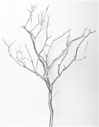 18" Manzanita Branches for Wedding Centerpieces 